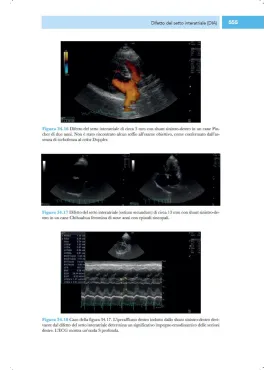 Medicina cardiorespiratoria del cane e del gatto