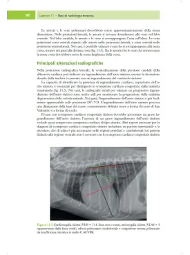 Medicina cardiorespiratoria del cane e del gatto