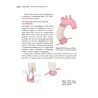 Manuale delle cardiopatie congenite: Diagnosi e chirurgia