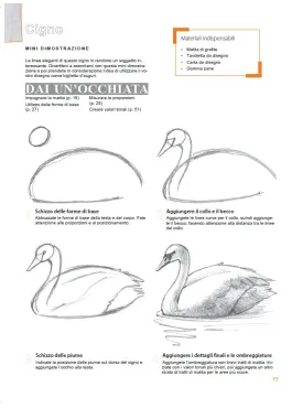 Imparare a disegnare per il principiante assoluto