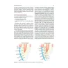 IL RESTAURO DEL DENTE TRATTATO ENDODONTICAMENTE