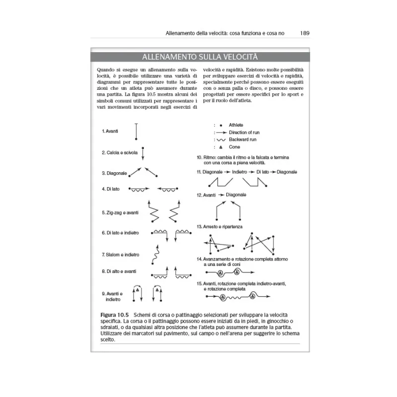 Allenamento e preparazione fisica dei giovani atleti
