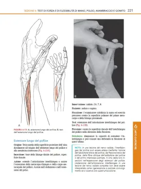 Kendall I muscoli: test e studio funzionale con postura e dolore