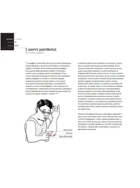 Explain Pain - Spiegare il dolore