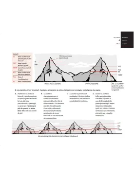 Explain Pain - Spiegare il dolore