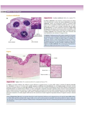 Atlante di Istologia e anatomia microscopica con una prospettiva clinica