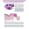 Atlante di Istologia e anatomia microscopica con una prospettiva clinica