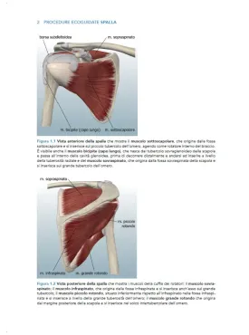 Manuale teorico di tecniche infiltrative ecoguidate nelle patologie muscolo-scheletriche