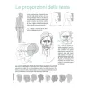 Disegnare i personaggi