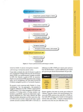 Body Comp Nutrition
