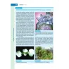 Botanica Generale e Diversità Vegetale
