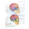 Anatomia & Fisiologia l’essenziale
