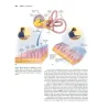 Anatomia & Fisiologia l’essenziale