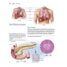 Anatomia & Fisiologia l’essenziale
