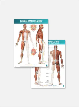 FASCIAL MANIPULATION® 4 Posters Package