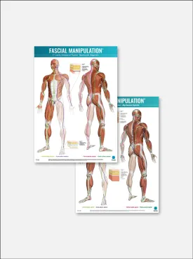 FASCIAL MANIPULATION® 4 Posters Package