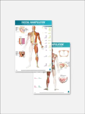 FASCIAL MANIPULATION® 4 Posters Package