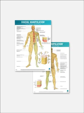 FASCIAL MANIPULATION® 4 Posters Package