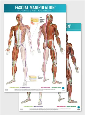 FASCIAL MANIPULATION ® 2nd Level Poster: Centers of Fusion • Myofascial Diagonals