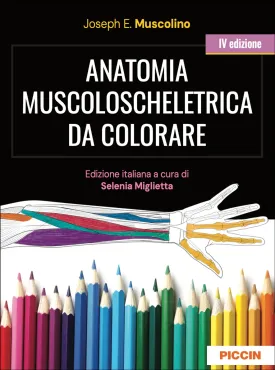 Anatomia muscoloscheletrica da colorare