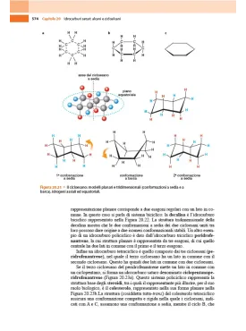 Chimica e Propedeutica Biochimica - Semestre Filtro Medicina