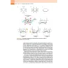 Chimica e Propedeutica Biochimica - Semestre Filtro Medicina