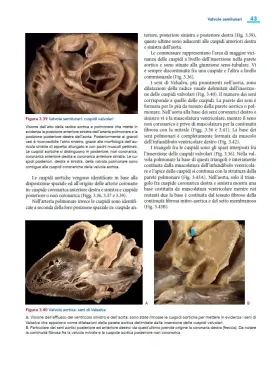 Cardiopatie congenite. Testo Atlante