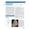 Cardiopatie congenite. Testo Atlante