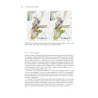 Gli elementi dell’apprendimento statistico - Data mining, inferenza e previsione