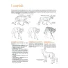 DISEGNARE GLI ANIMALI