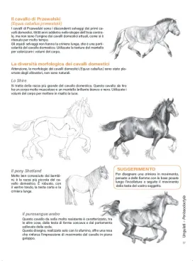 DISEGNARE GLI ANIMALI