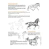 DISEGNARE GLI ANIMALI