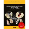 ECOGRAFIA DELLA CAVIGLIA E DEL PIEDE dal facile al difficile