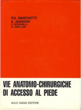 Vie anatomo-chirurgiche di accesso al piede