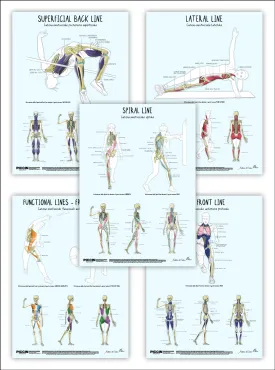 LE CATENE MIOFASCIALI 5 Posters Package