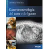 Gastroenterologia del cane e del gatto