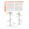 ANATOMIA UMANA con approfondimenti di Anatomia Funzionale