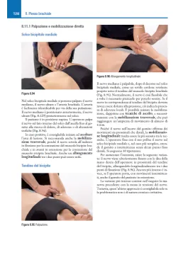 Il sistema nervoso in osteopatia