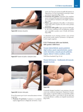 Il sistema nervoso in osteopatia