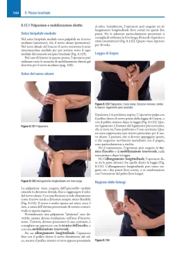 Il sistema nervoso in osteopatia