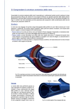 Accessi venosi – Il manuale Nysora©