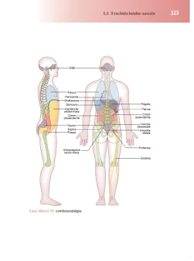 Semeiotica e clinica per osteopati