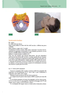 Dall’anatomia ai paradigmi craniosacrali. Apprendere l’osteopatia craniale