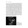 Medicina d’Urgenza – Ecografia Clinica