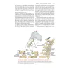 Neumann’s Chinesiologia del sistema muscoloscheletrico