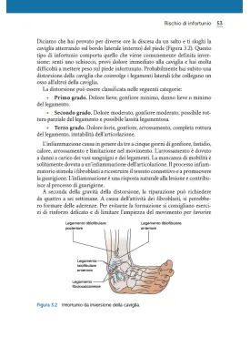 DANZA E ANATOMIA UMANA