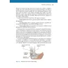 DANZA E ANATOMIA UMANA
