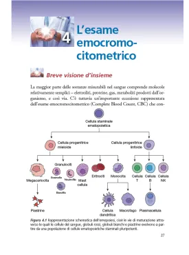 L’unico libro di medicina di laboratorio di cui avrai bisogno