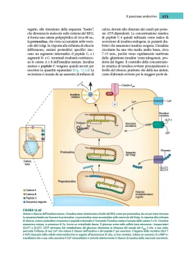 Istologia di Monesi