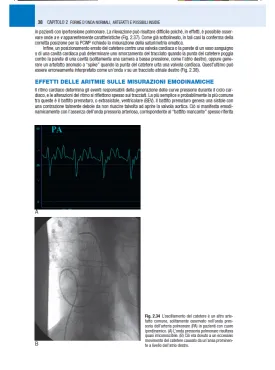 Monitoraggio emodinamico in area critica. Il manuale